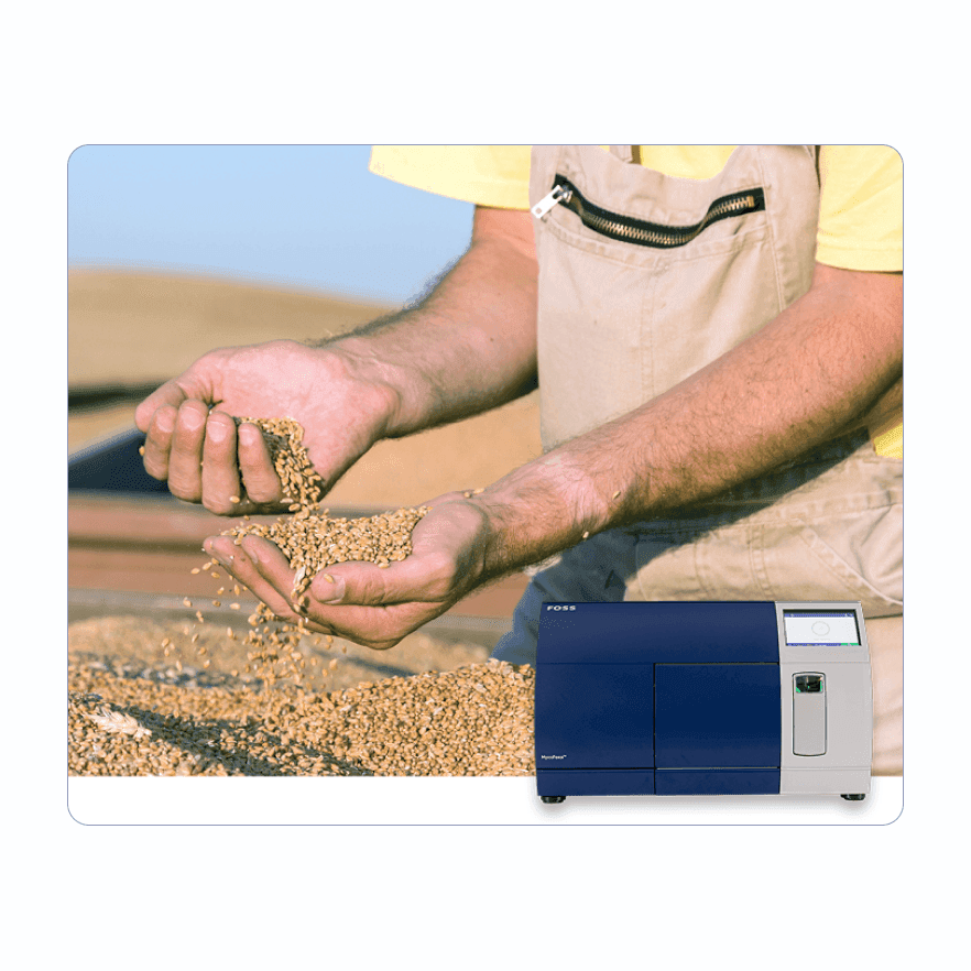 Держим микотоксины вне мельницы: как автоматизация тестирования защищает цепочки поставок зерна и кормов