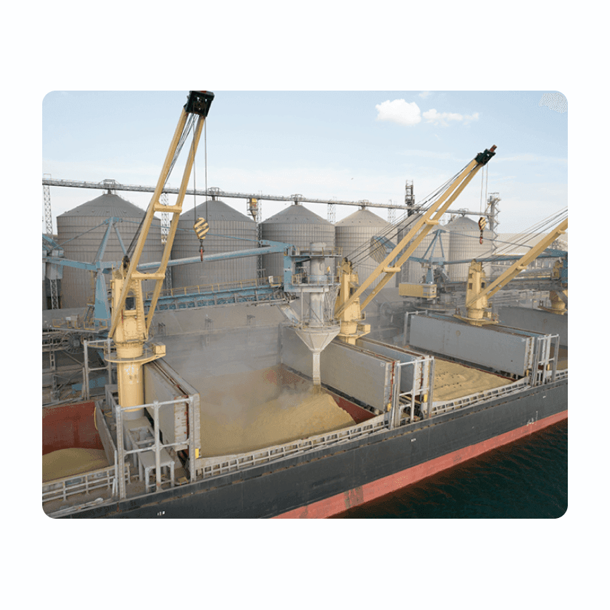 Руководство по полностью автоматизированному анализу зерна