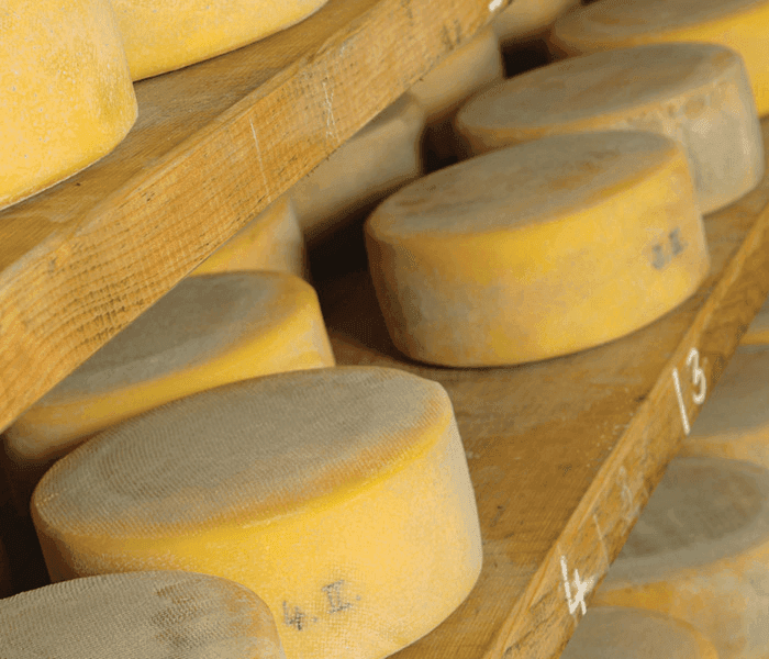 Возьмите управление в свои руки: точный контроль соотношения жира и белка в сырном молоке