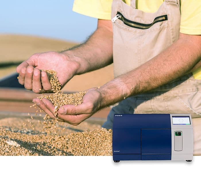 Держим микотоксины вне мельницы: как автоматизация тестирования защищает цепочки поставок зерна и кормов