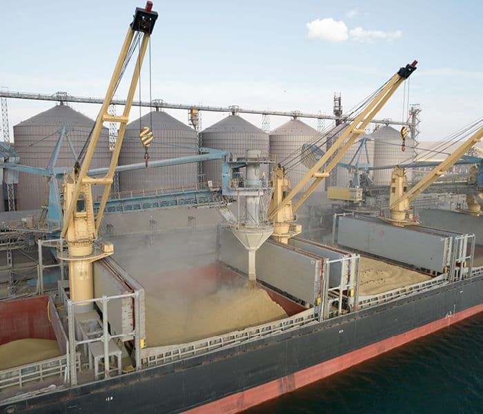 Руководство по полностью автоматизированному анализу зерна